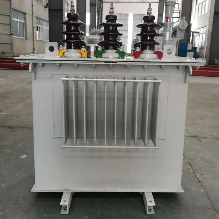 Trasfhoirmeoir Tumtha Ola 100kva