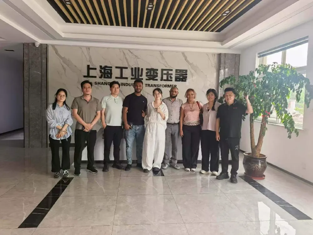 Míle Fáilte! Toscaireacht na hAetóipe ag tabhairt cuairte ar Shanghai Industrial Transformer Co., Ltd. le haghaidh Malartú ar Chlaochladáin & Trealamh Dáilte Cumhachta